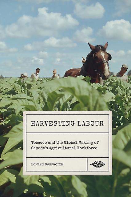 Harvesting Labour by Edward Dunsworth Paperback Book