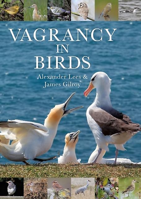 Vagrancy In Birds by Dr James Gilroy Hardback Book