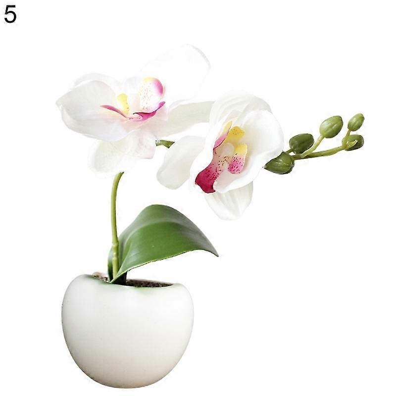 Succulent Shape Refrigerator Magnets Removable Plastic No Scratch Whiteboard Magnets Kitchen Decor