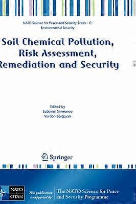 Soil Chemical Pollution Risk Assessment Remediation and Security