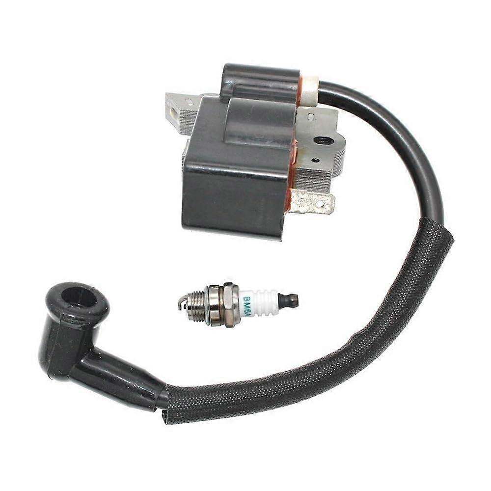 ignition module coil suitable for MT250LK