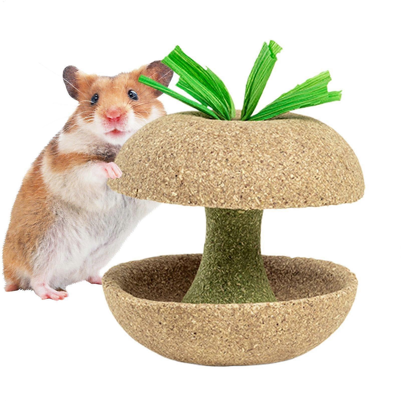 Hamster Chew Toys, Fruit Shaped Hamster Toys, Small Animal Chew Toys