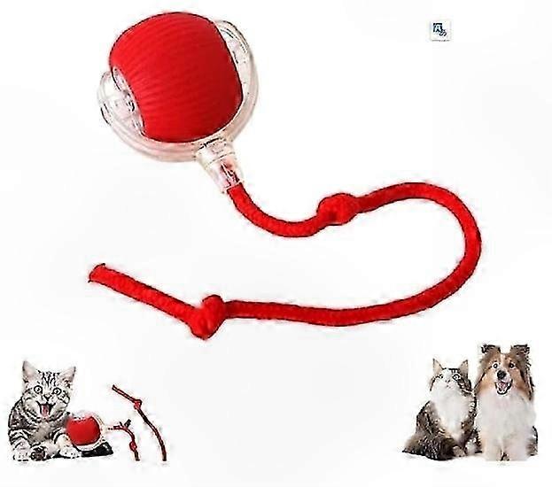 Interactive Rolling Ball for Dogs and Cats - 360° Rotating Toy for Play and Exercise