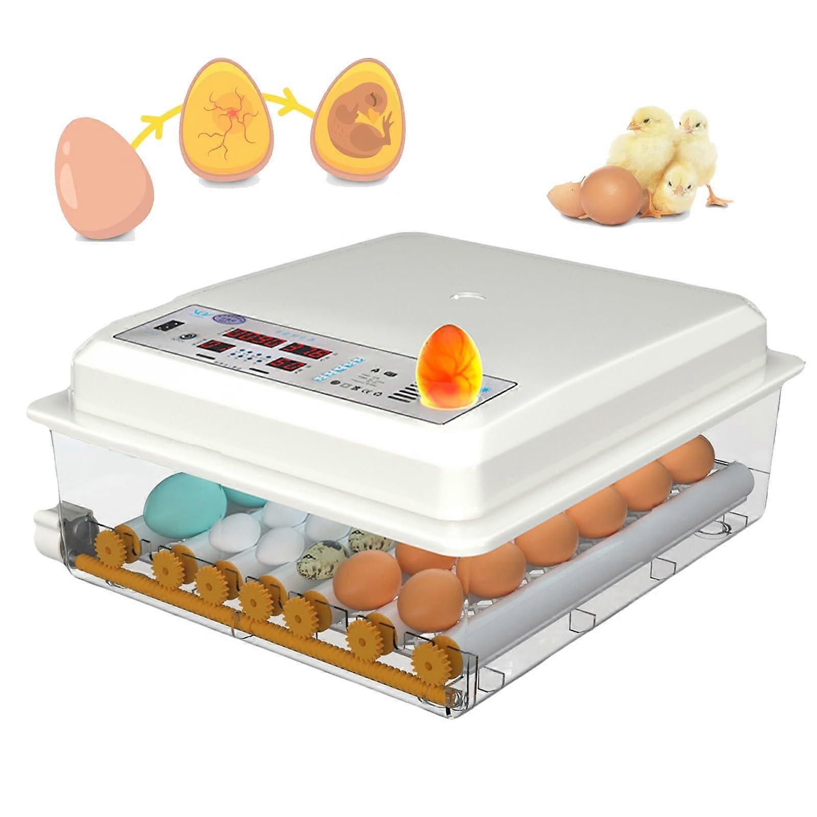 Egg Incubator 36/48/56 With Temperature Humidity Display Automatic Turning Candling Device For Chicken Duck Quail Eggs