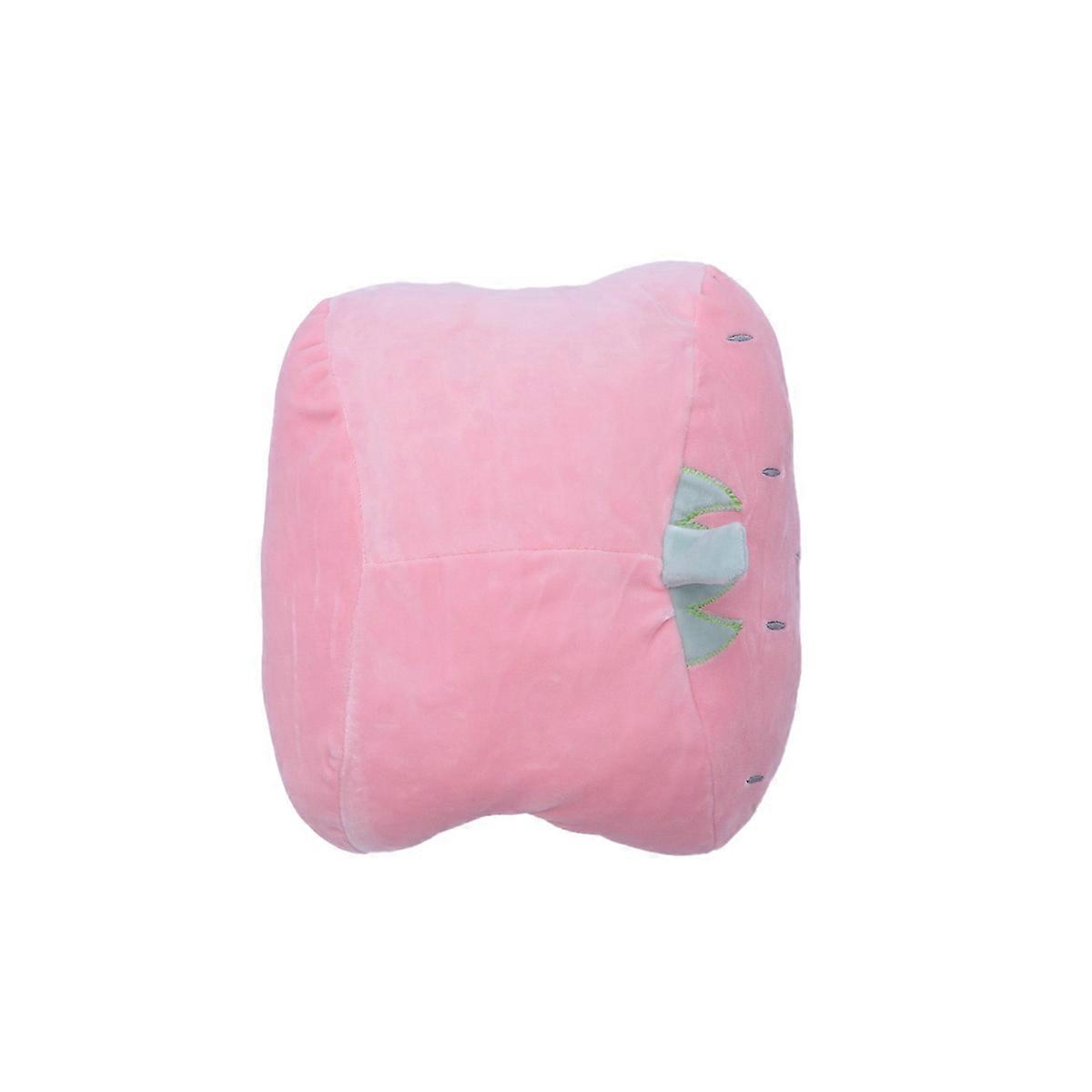 Plush Portable Hand Warmer Pillow with Hand Warmer for Winter