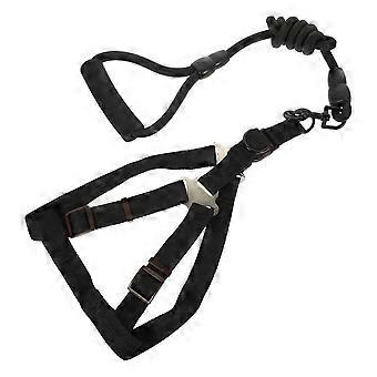 Durable Dog Harness and Leash Set for Pet Walking and Training 3Sets