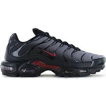 Nike Air Max Plus TN - Men's Sneakers Shoes Grey-Black DM0032-032