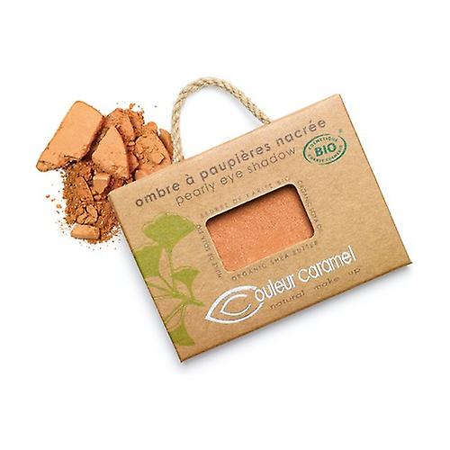Eye shadow n ° 007 Pearly copper gold 2,5 g