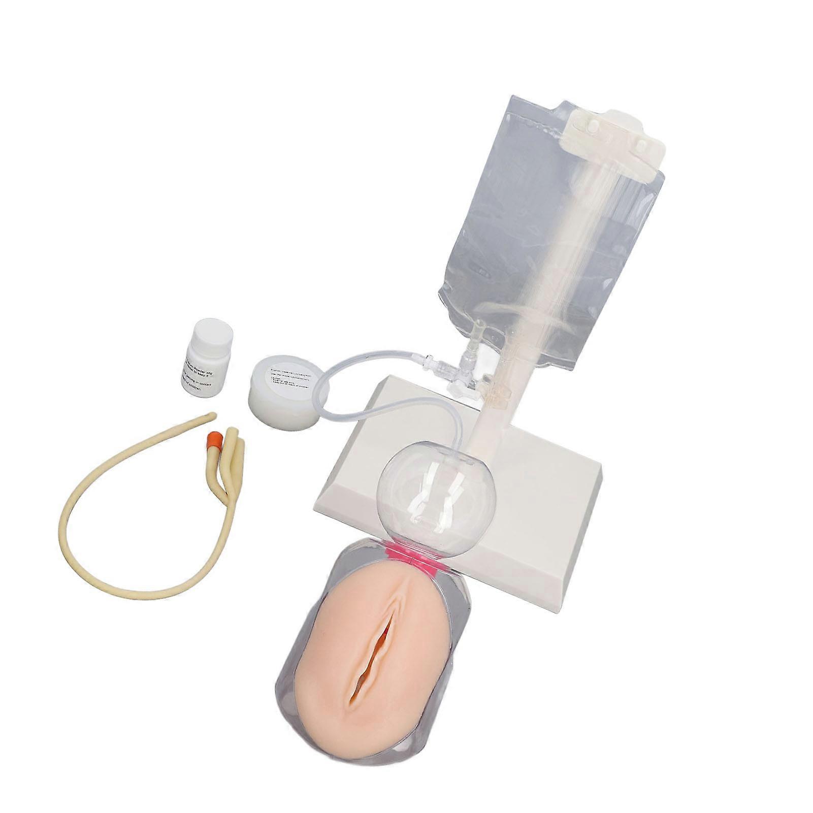 Female Urinary Catheterization Training Kit Silicone Fluid Circulation System Simulated Urinary Insertion Catheterization Model for Medical Students N