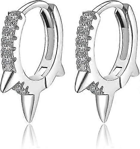 Hoop Earrings,silver