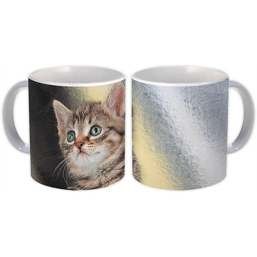Gift Mug: Cat Kitten