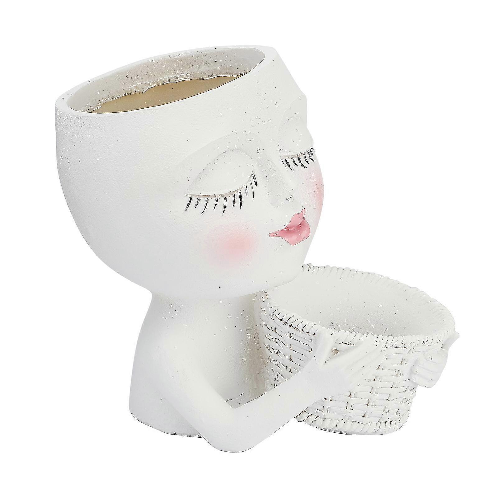 Creative Double-Sided Resin-face Succulent Pot for Home Decor and Gift