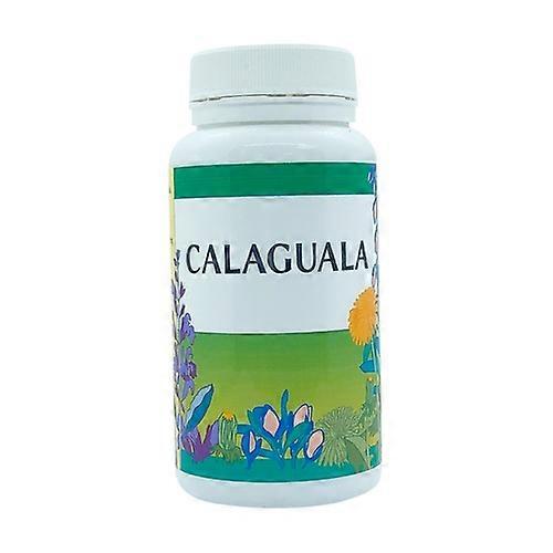 Naturlife Calaguala 90 tablets