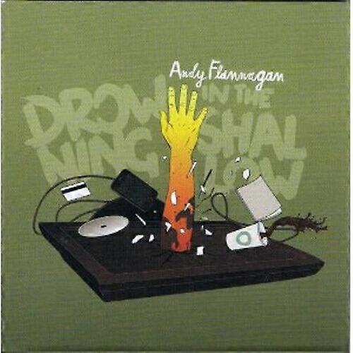 Andy Flannagan Drowning in the Shallow CD (2012)
