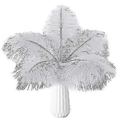 2025 20pcs Natural Bulk Ostrich Feathers