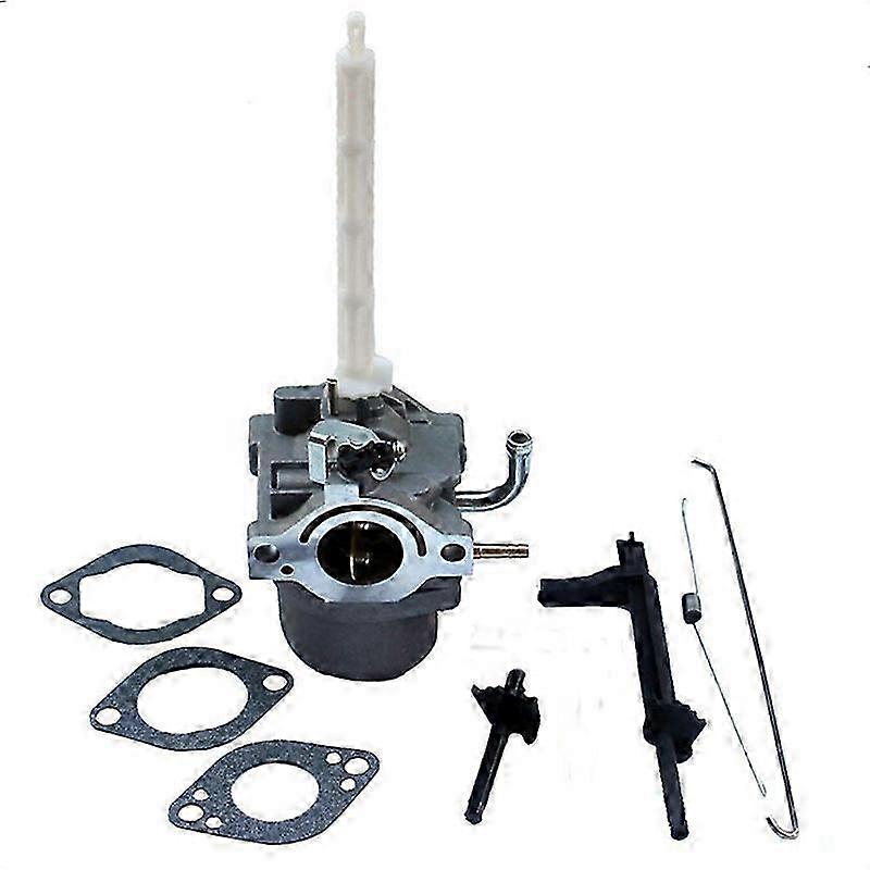 Briggs & Stratton 796122 794593 20A414 Tractor Carburetor Replacement Kit