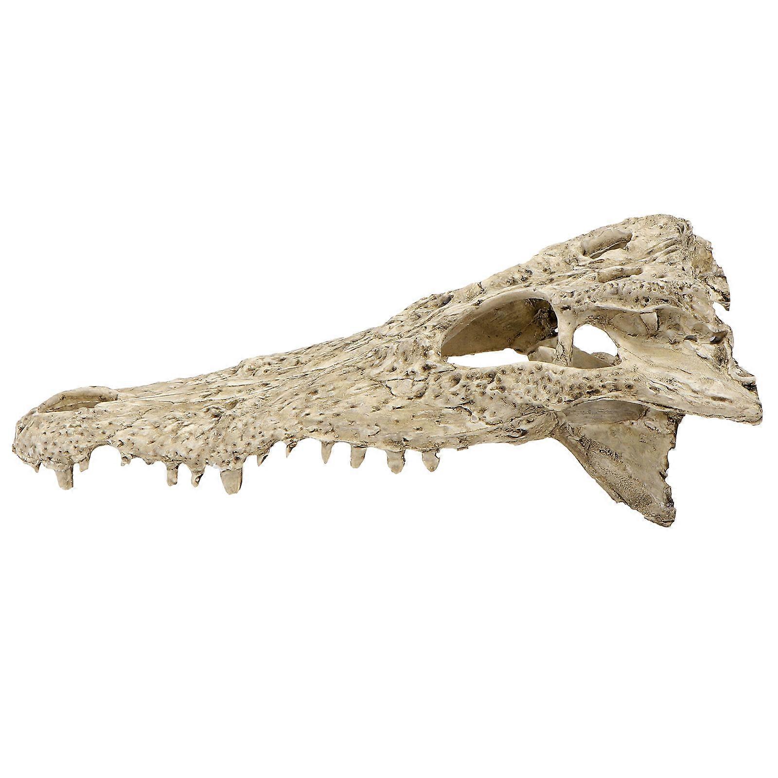 Dinosaur Crocodile Skull for Fish Tank Decoration 1Pcs Resin Craft