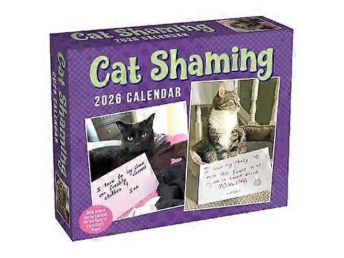Cat Shaming 2026 Daytoday Calendar by Pedro Andrade Calendar Book