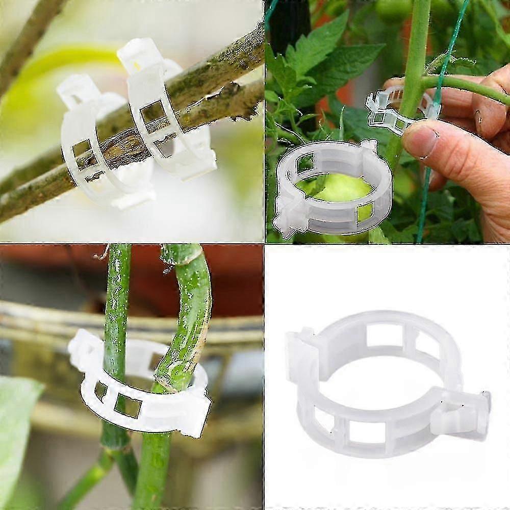 100pc Soportes de clips de tomate conecta plantas enredaderas Jaulas