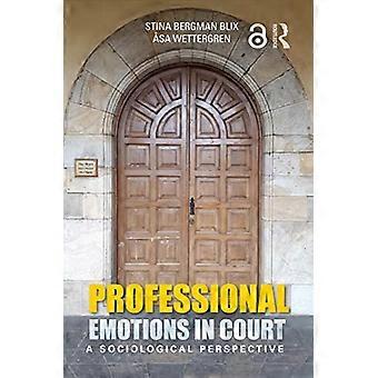 Professionelle Emotionen vor Gericht: Eine soziologische Perspektive
