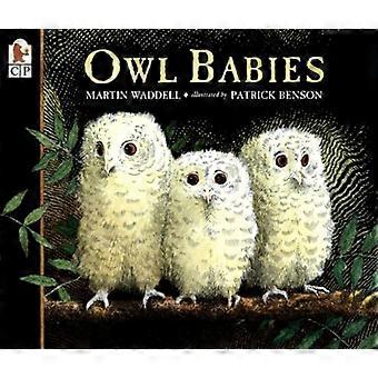 Eule-Babys