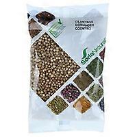 Coriander Bag 60 g