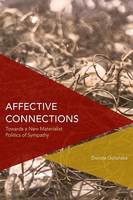 Affective Connections by Dorota Golanska Paperback Book