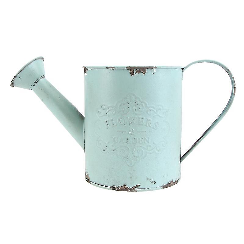 1pcs Dried Flower Bucket