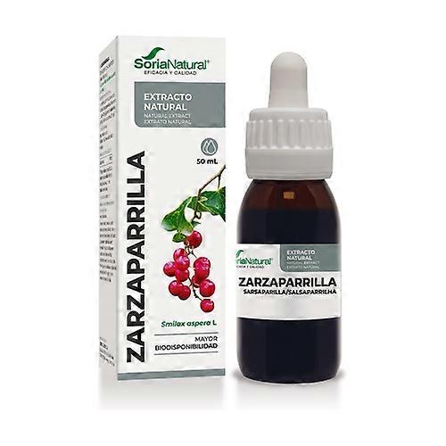 Sarsaparilla Extract (XXI Formula) 50 ml