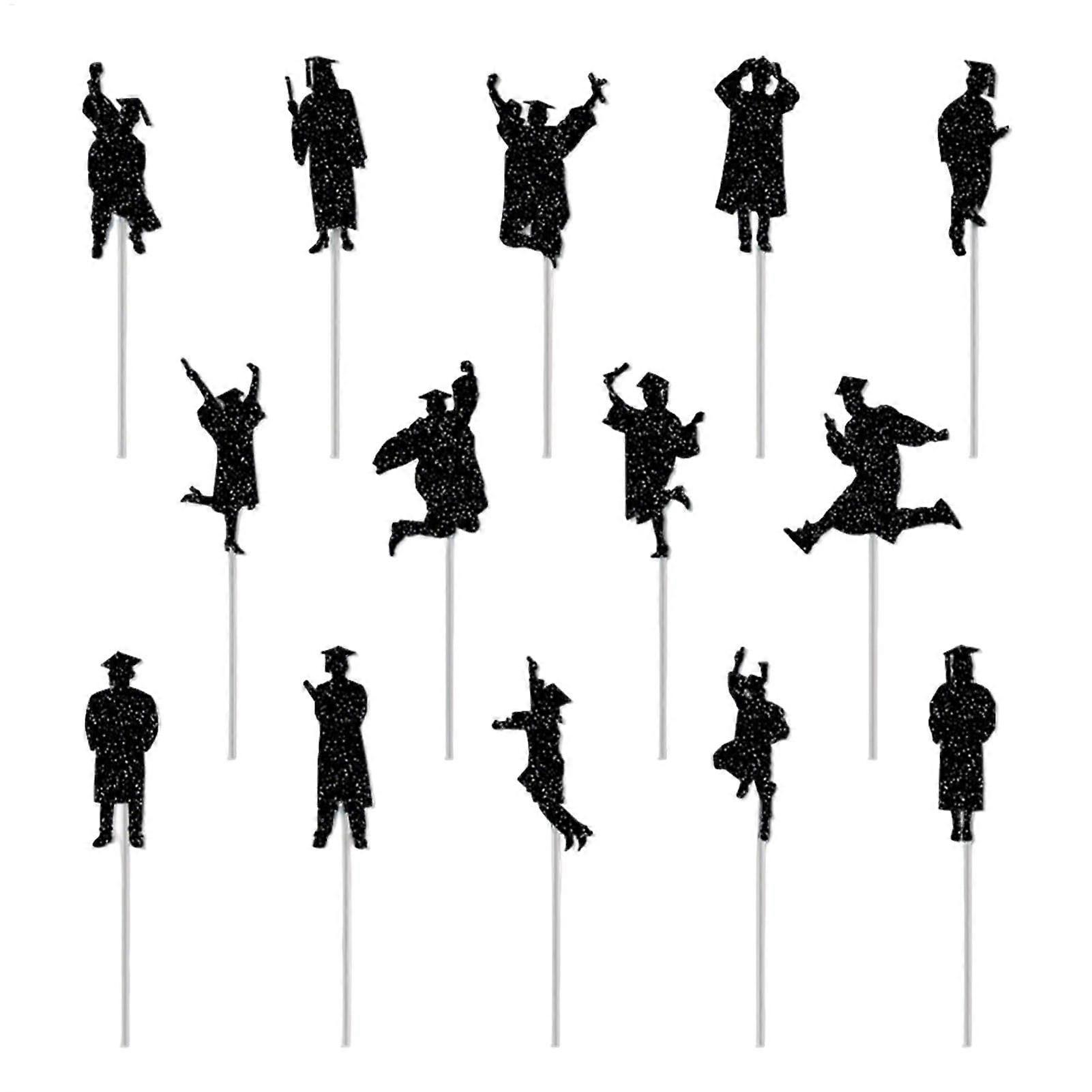 Graduation Cake Topper Set, 14 Piece Cupcake Decorations for Small Graduation Party, Colorful Picks for Appetizers