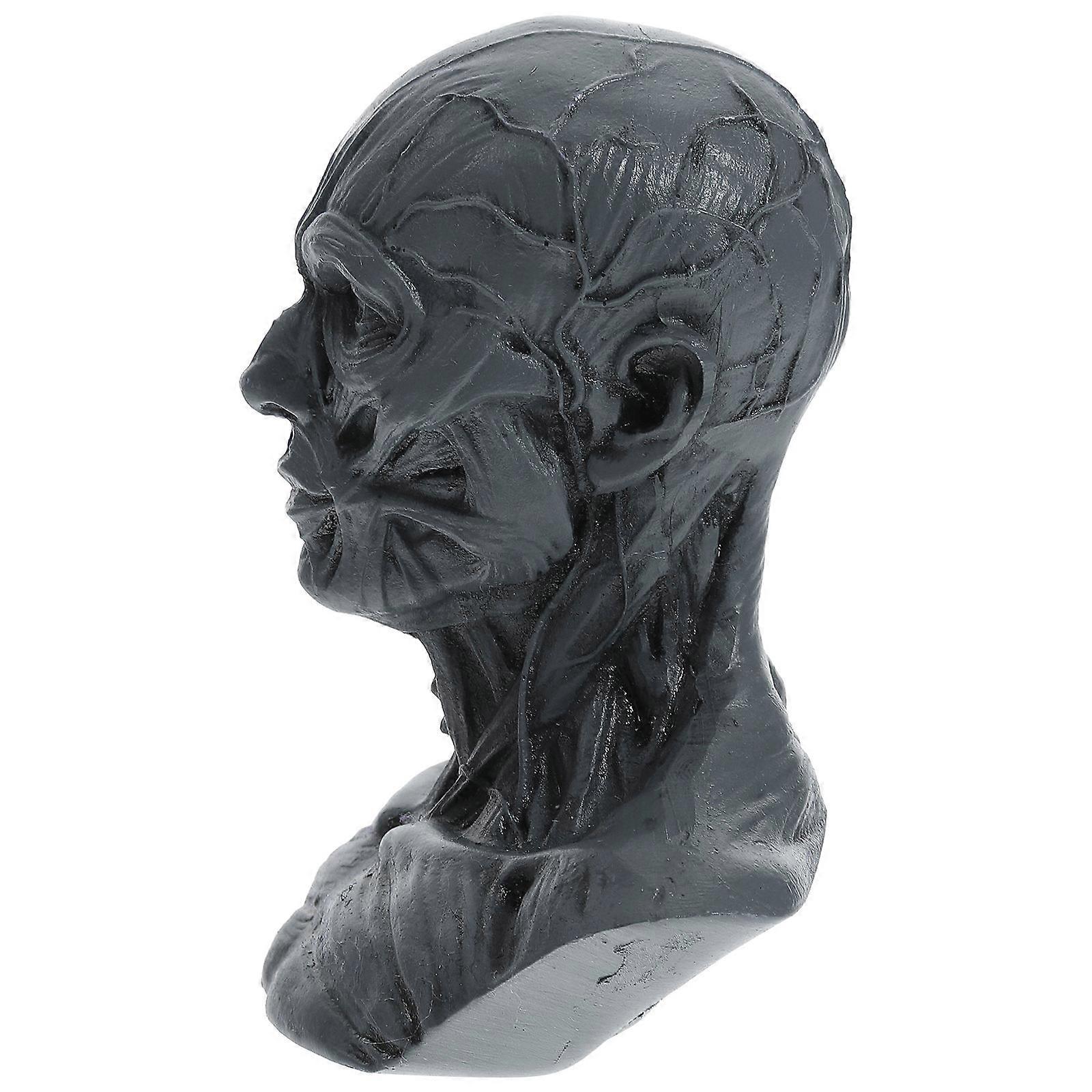 Anatomy Skull Head Muscle Statue Sketch Model For Art Students Realistic Grey 10X8X6cm Medical Prop 1Set