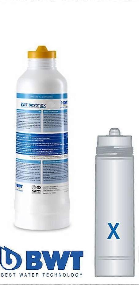 BWT Bestmax X Wisselpatroon FS20I00A00