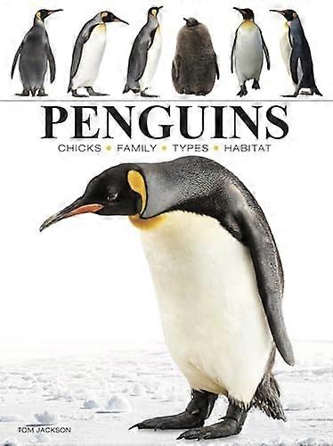 Penguins (Mini Animals)