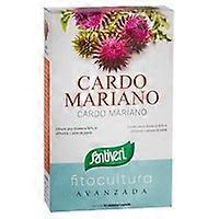 Milk thistle 40 capsules