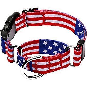 Martingale Collar for Dogs, Adjustable Soft Nylon Dog Collars with Special Design Cute Patterns for Small Medium Large Dog Collar (Large, American Fla