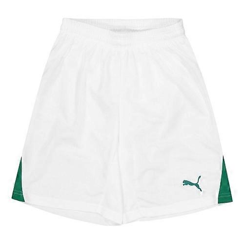 Puma Kinder-Teamshorts