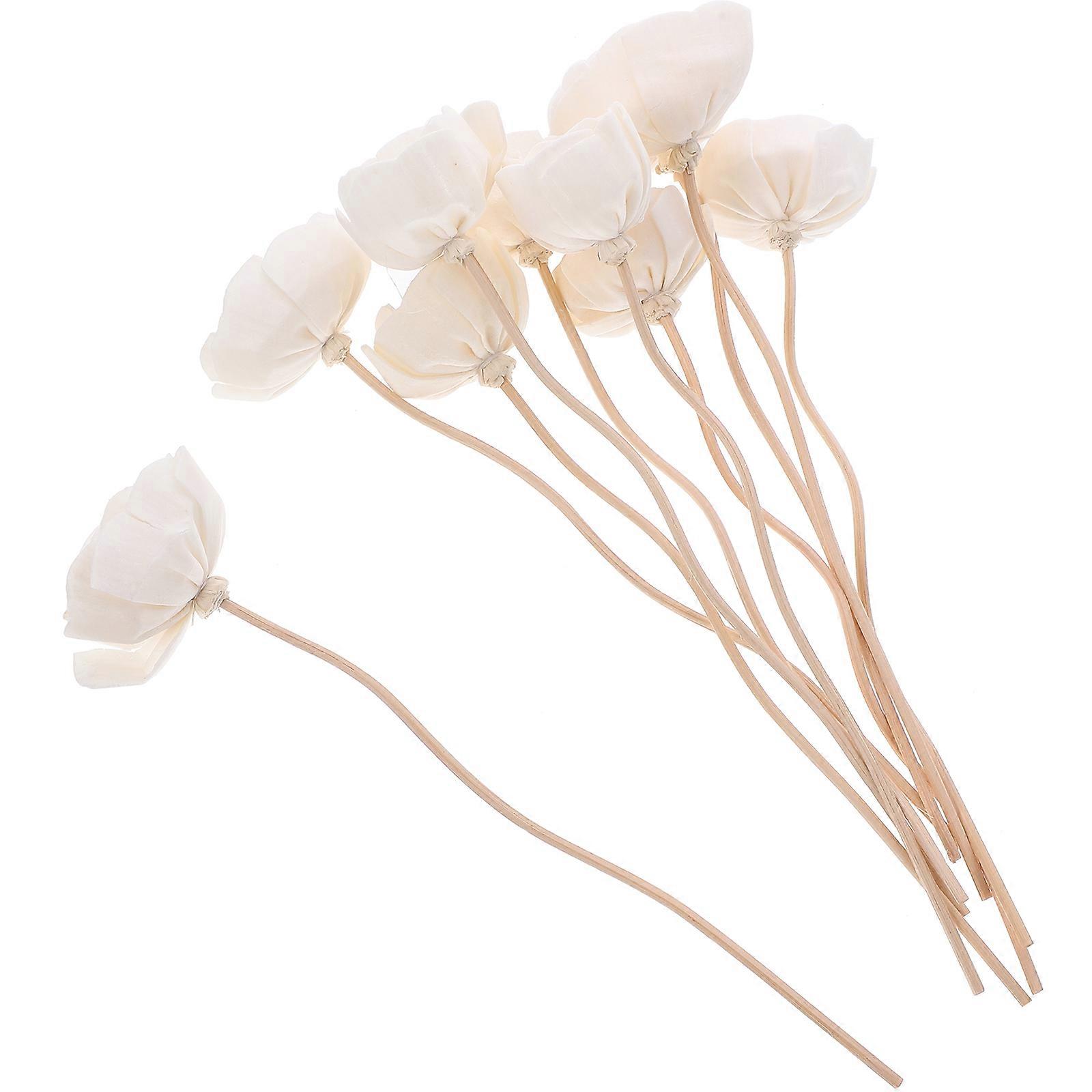 10pcs Dried Flower Diffuser Sticks Essential Oil Diffuser Aroma Diffuser Sticks