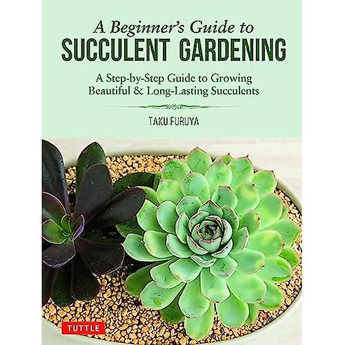 A Beginner's Guide to Succulent Gardening