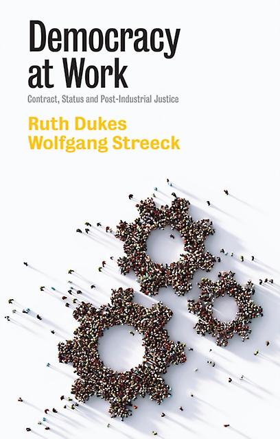 Democracy At Work by Streeck & Wolfgang Max Planck Institute for the Study of Societies & Cologne Paperback Book