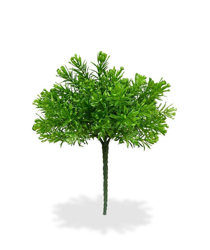 Senecio Bouquet (15 cm)