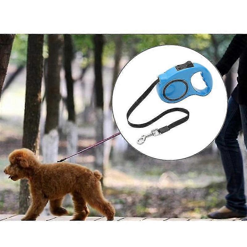 automatic extending walking leash leads retractable