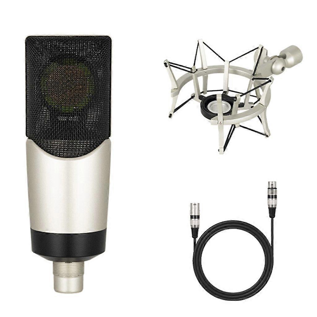 48V Large Diaphragm Condenser Microphone For Studio Live Streaming Interviews