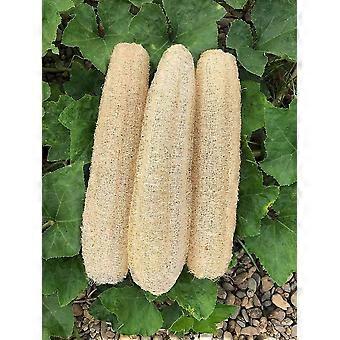Natural Bath Loofahs Sponges Large Organic Luffa Shower Sponges Skin Body Back Exfoliating Scrubber For Daily Personal Care (3 Pack)
