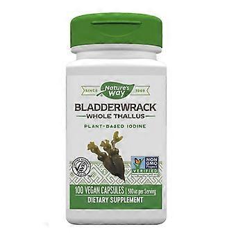 Nature's Way Bladderwrack, 100 kapsułek (opakowanie 1)