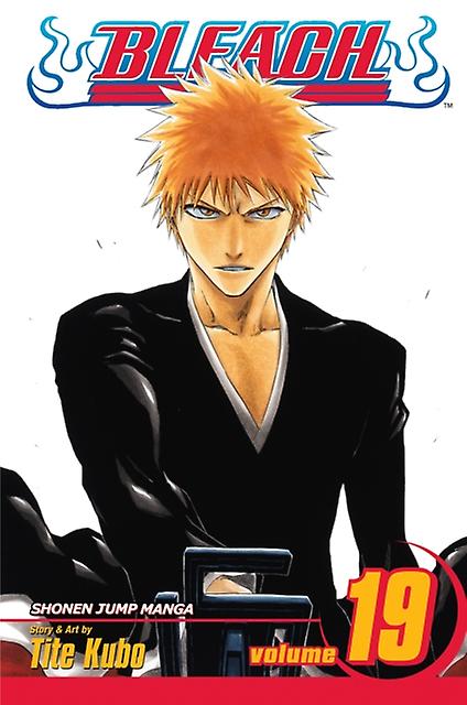 Bleach Vol. 19 by Tite Kubo Paperback