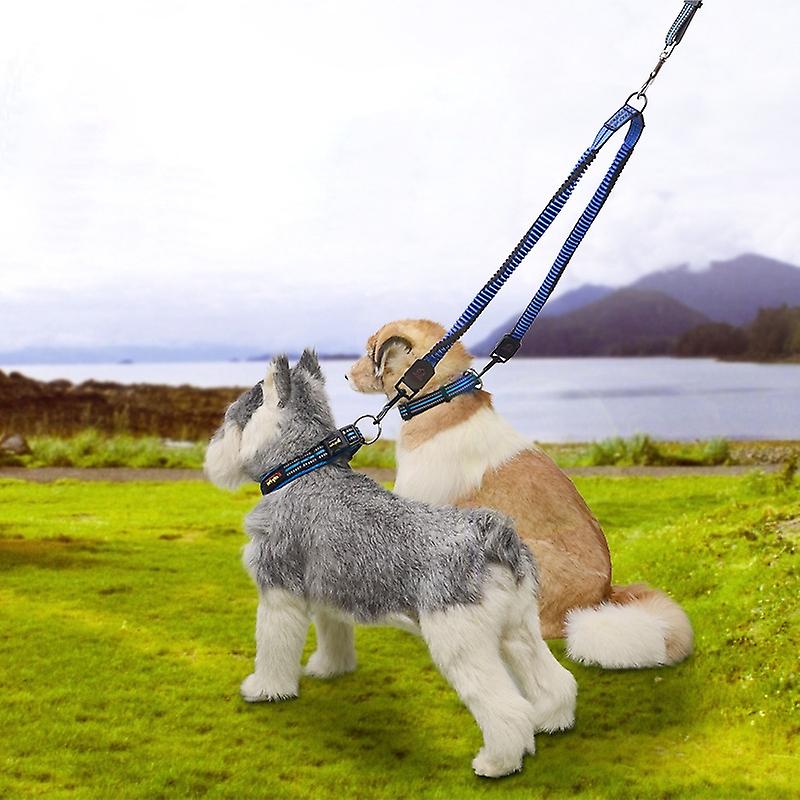 Pet Telescopic Buffer Double Traction Rope