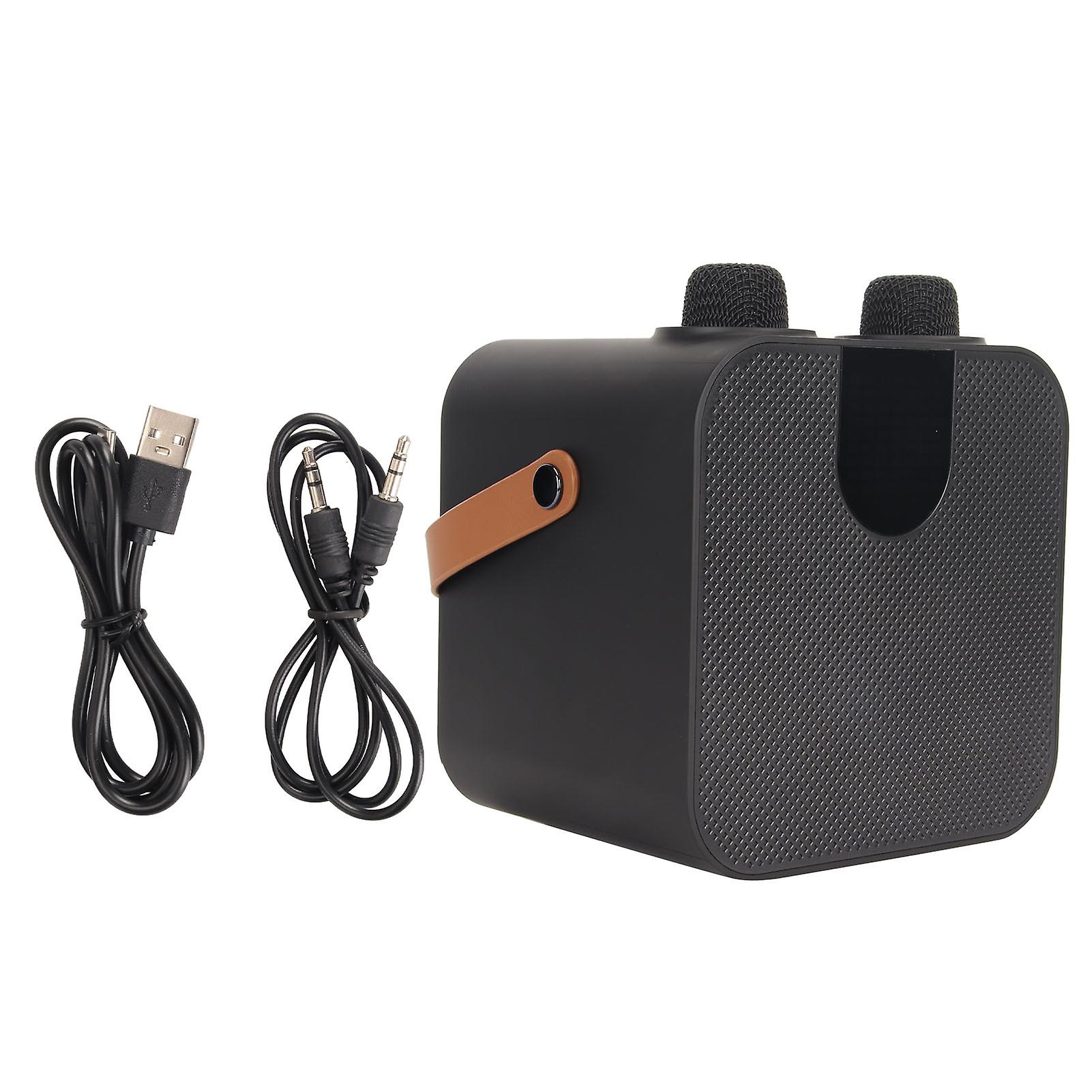 Karaoke Machine Bluetooth 5.0 Support USB Memory Card AUX Portable Speaker with 2 Wireless Microphone for Party