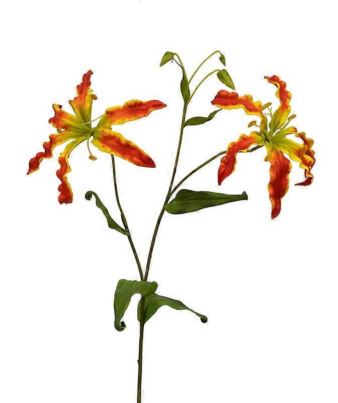 Gloriosa gren (65 cm)