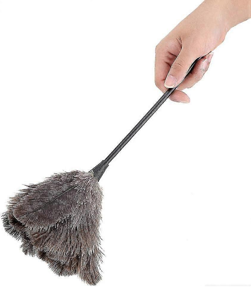 Ostrich Feather Duster, Mini Handmade Washable Reusable Ostrich Feather Duster Brush,48cm