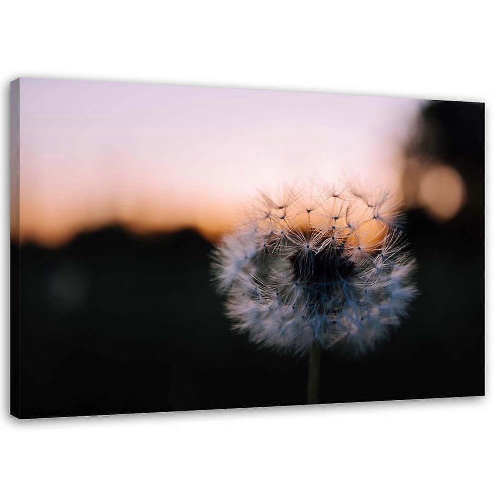 Obraz na plátně, hustilka a západ slunce - 120x80